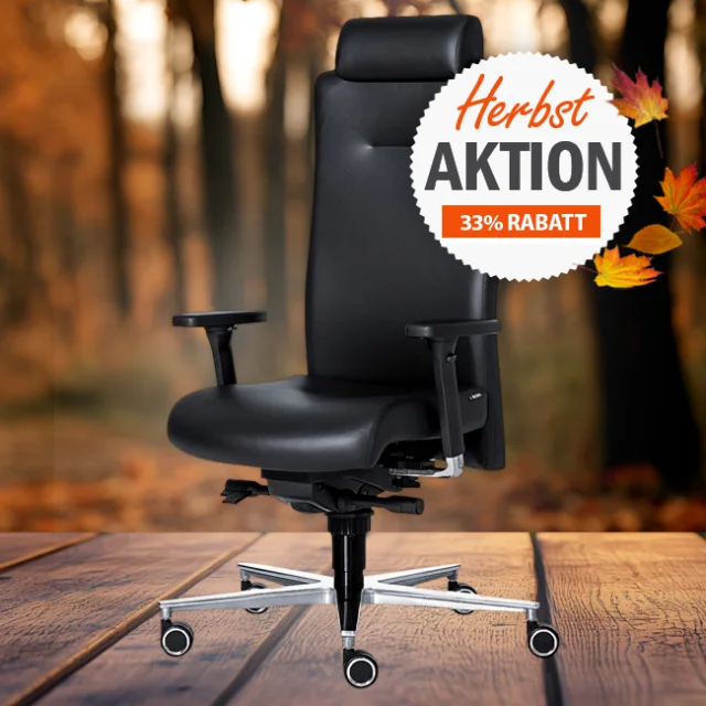 Herbstaktion mit 33% RABATT - Rovo Chair XP 4030 EB - Ergonomischer Bürostuhl mit Kopfstütze und  ERGO-BALANCE Technologie
