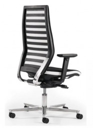 Rovo R12 mit Bezug Stoff Gaya und Ergo-Balance/Rovo Chair Bürostuhl Modell 6060 EB