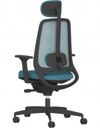 Rovo R22 mit Netzrücken, Kopfstütze und Ergo-Balance/Rovo Chair Bürostuhl Modell 6050 EB
